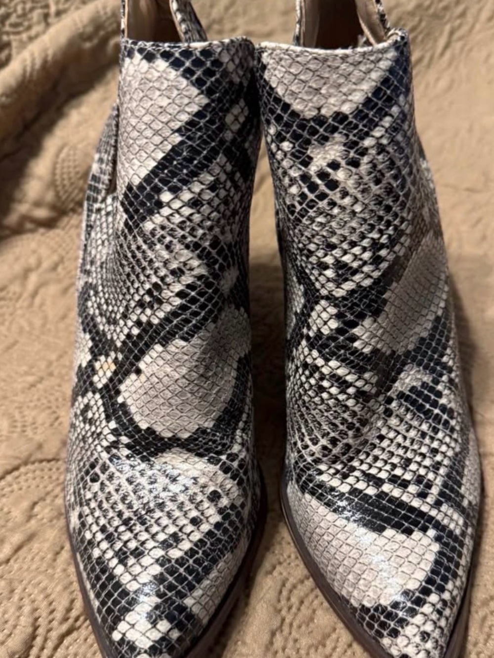 Pointed Snake-Print Ankle Booties in Black and Cream